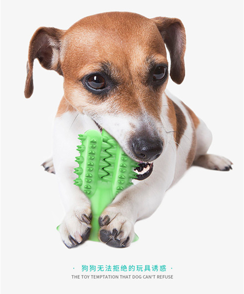 Pet Toy