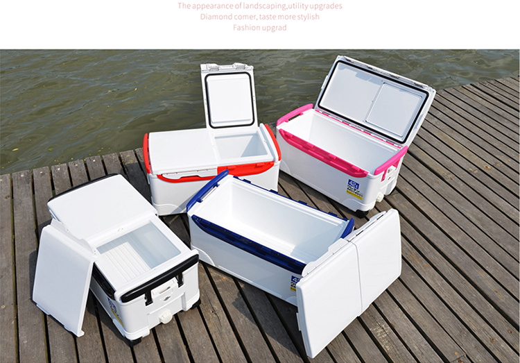 Travelling Cooler Case